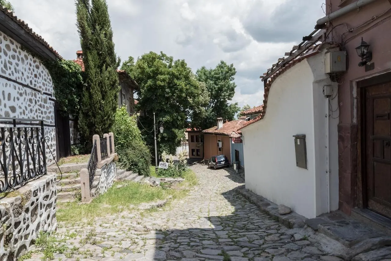 Art White House In Ancient Plovdiv Daire