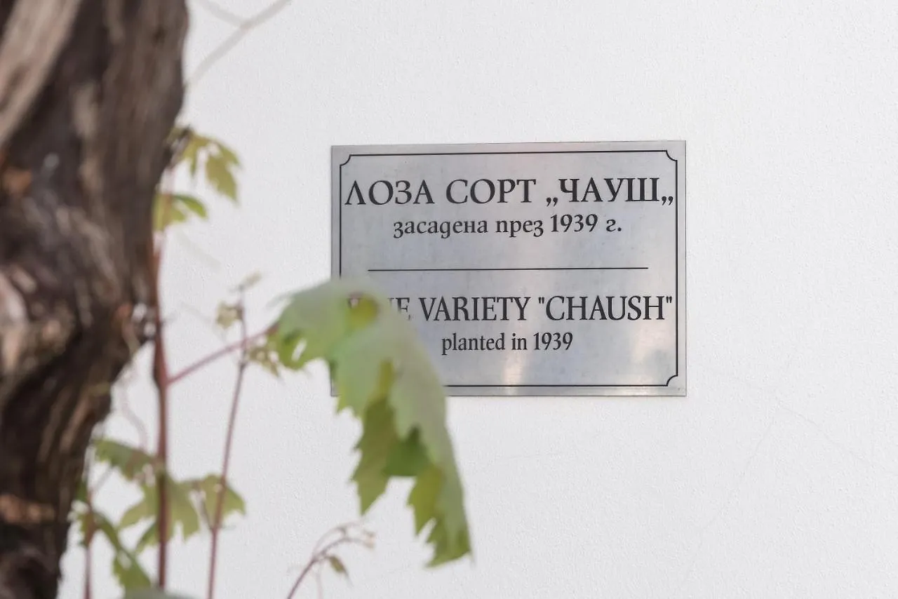 Art White House In Ancient Plovdiv Daire